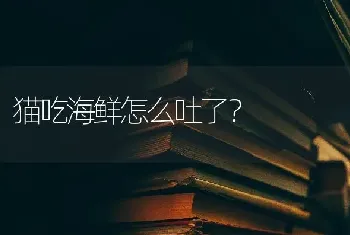 猫吃海鲜怎么吐了？