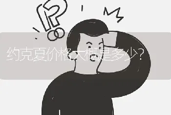 约克夏价格大概是多少？