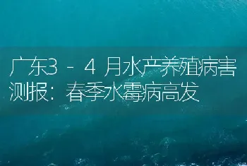 广东3-4月水产养殖病害测报：春季水霉病高发