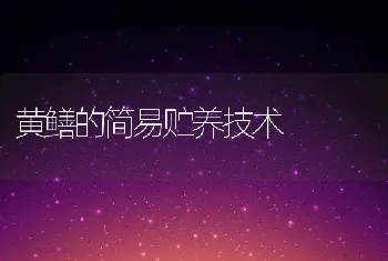 提高獭兔皮毛质量的方法