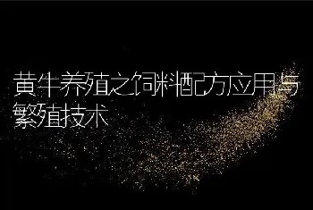 黄牛养殖之饲料配方应用与繁殖技术