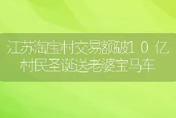 江苏淘宝村交易额破10亿 村民圣诞送老婆宝马车