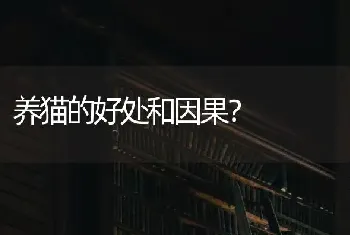 五岁的猫应该多重？