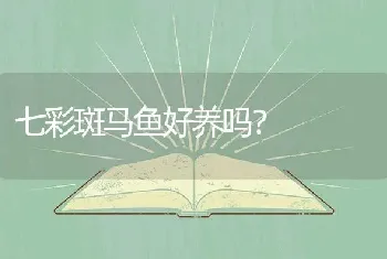 花龟干养好还是水养好？