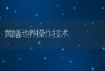 黄鳝池养操作技术