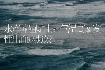 水产养殖贴士：气温高暴发性出血病频发