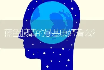 暹罗猫老是粘人怎么办？