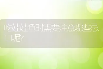 吃娃娃鱼时需要注意哪些忌口呢？