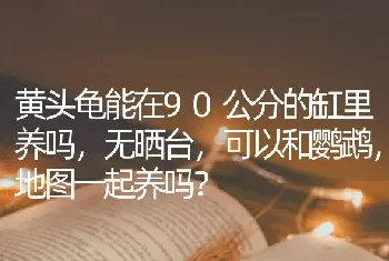 蓝和尚鹦鹉个头会很小吗？