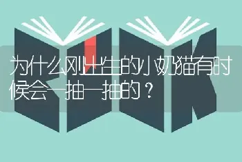 为什么刚出生的小奶猫有时候会一抽一抽的？