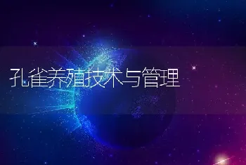 孔雀养殖技术与管理