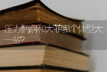 在家散养巴西龟，需要注意什么我想把龟放在家里让它们？