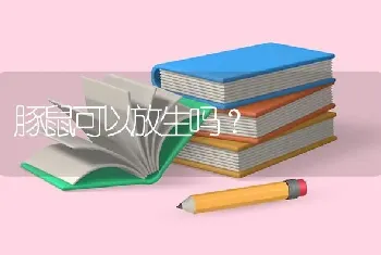 飞机托运宠物多少钱？