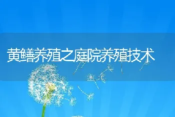 黄鳝养殖之庭院养殖技术