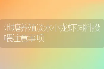 池塘养殖淡水小龙虾饲料投喂注意事项