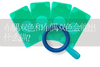 布偶双色和布偶双色会能出什么猫？