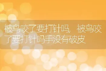 被鸟咬了要打针吗，被鸟咬了要打针吗手没有破皮