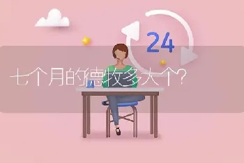 七个月的德牧多大个？