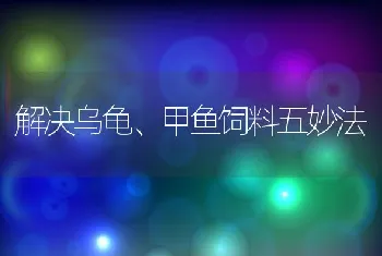 解决乌龟、甲鱼饲料五妙法