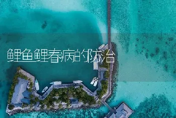 鲤鱼鲤春病的防治