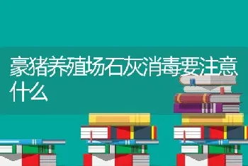 豪猪养殖场石灰消毒要注意什么