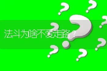 法斗为啥不爱走路？