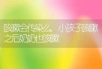 咳嗽会传染么，小孩子咳嗽之后奶奶也咳嗽