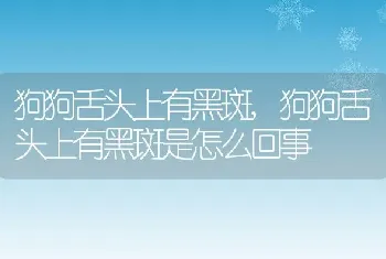 狗狗舌头上有黑斑，狗狗舌头上有黑斑是怎么回事