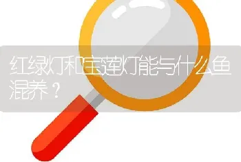 红绿灯和宝莲灯能与什么鱼混养？