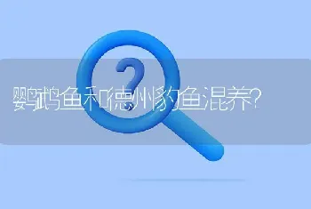 鹦鹉鱼和德州豹鱼混养？