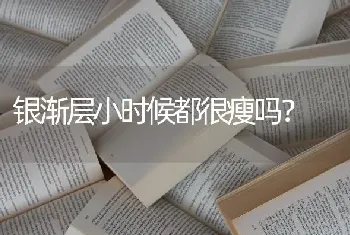 银渐层小时候都很瘦吗？