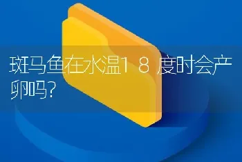 斑马鱼在水温18度时会产卵吗？