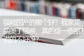 史宾格和边牧的区别？