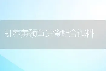 驯养黄颡鱼进食配合饵料