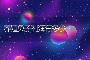 养殖兔子利润有多少？