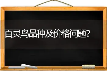 百灵鸟品种及价格问题？