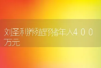 刘圣利养殖野猪年入400万元