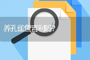 养孔雀鱼吉利吗？