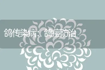 鸽传染病：鸽痘防治