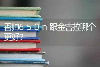 香帅650n跟金吉拉哪个更好？