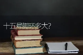 十五号脚环多大？