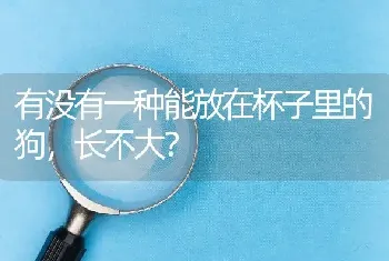 中国工商银行可以在网上换新卡马犬？