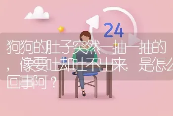 狗狗的肚子突然一抽一抽的,像要吐却吐不出来.是怎么回事阿？