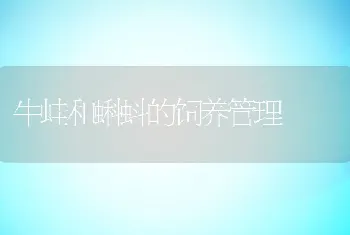 巧改水质助水产养殖增收