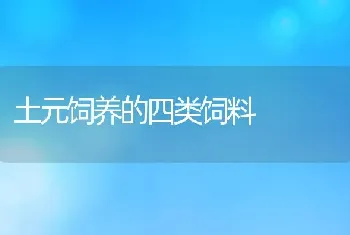 土元饲养的四类饲料