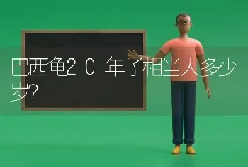 巴西龟20年了相当人多少岁？