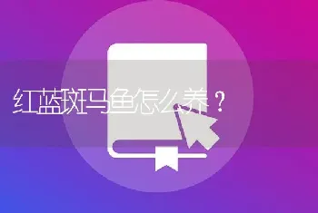 红蓝斑马鱼怎么养？