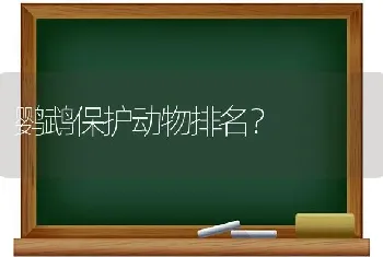 鹦鹉保护动物排名？