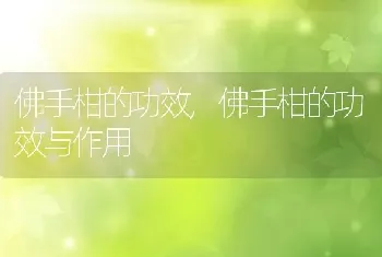 佛手柑的功效，佛手柑的功效与作用