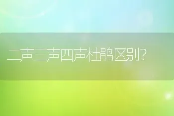 二声三声四声杜鹃区别？